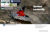 Spotted Lanternfly3F7567AD-BA35-41A6-9… · Remove tree-of-heaven Tree-of-heaven (Ailanthus altissima) is an invasive tree that is used in landscape design, and frequently found