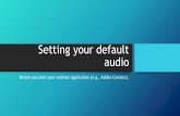 Setting your default audio - University of St. Francis...Appearance and Personalization Change the theme Change desktop background Adjust screen resolution Clock, Language, and Region