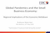 Global Pandemics and the Small Business Economy ... Global Pandemics and the Small Business Economy: