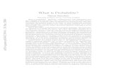 What is Probability? - arXivprobability: probability as in classical statistical mechanics (as formulated by Boltzmann, Gibbs and Einstein), and probability as in Brownian motion (with