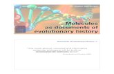 Molecules as documents of evolutionary historyevolution.unibas.ch/teaching/molec_evol/doc/Mol_Evol_2.pdf · 2008-10-13 · Molecules as documents of evolutionary history Dr. Walter