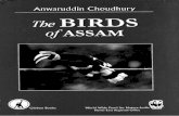 NEHU Institutional Repository: Home birds of...Assam is part of a global biodiversity 'hotspot' (Myers, 1988, 1991) as well as two Endemic Bird Areas, i.e., Eastern Himalaya, and Assam