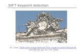 SIFT keypoint detectionslazebni.cs.illinois.edu/spring19/lec09_sift.pdfSIFT keypoint detection D. Lowe, Distinctive image features from scale-invariant keypoints, IJCV 60 (2), pp.