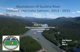 Abundance of Susitna River Chinook and Coho Salmon, 2013 ...€¦ · 1 Abundance of Susitna River Chinook and Coho Salmon, 2013 - 2015 Pete Cleary . Alaska Department of Fish and