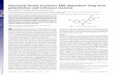 Flavonoid fisetin promotes ERK-dependent long-term ... · Flavonoid fisetin promotes ERK-dependent long-term potentiation and enhances memory Pamela Maher*†, Tatsuhiro Akaishi‡,