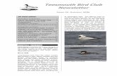 Teesmouth Bird Club Newsletter · 2006-09-05 · Cranes flew over Coatham Marsh on 15th and 2 Whooper Swans at Scaling Dam from 15th were well received in what was a poor winter ...