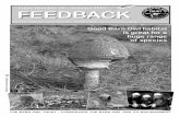 Issue Number 38 - Autumn 2007 FEEDBACK · FEEDBACK 38 - AUTUMN 2007 -2- Welcome to Feedback. We are delighted to tell you that 2007 was a much better year for Barn Owls than ‘06