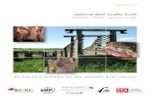 National Beef Quality Audit 2016/17 Plant Carcass Audit · Research Council (BCRC), is a partnership between Canada’s beef industry and Agriculture and Agri-Food Canada. Under the