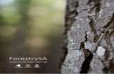ForestrySA · The South Australian Forestry Corporation was established on 1 January 2001 under the South Australian Forestry Corporation Act 2000. Trading as ForestrySA, the business