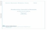Productivity Growth in Romania - World Bankdocuments.worldbank.org/curated/en/751111571151886548/pdf/Pro… · section presents the analysis of domestic productivity leaders and laggards
