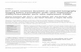 SCCT expert consensus document on computed tomography ...€¦ · ECG, electrocardiogram; TAVI, transcatheter aortic valve implantation; TAVR, transcatheter aortic valve replacement.