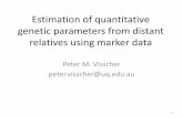 Estimation of quantitative genetic parameters from distant ... 8 L4 P… · Estimation of quantitative genetic parameters from distant relatives using marker data Peter M. Visscher