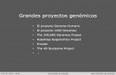 Grandes proyectos genómicos · El Proyecto Genoma Humano • Fue una iniciativa internacional lanzada en la década de los 90 del pasado siglo para mapear y secuenciar el conjunto