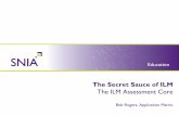 The Secret Sauce of ILM - the ILM Assessment CoreThe Secret Sauce of ILM – Assessment. Abstract. Professional Services and internal consulting figure prominently in the success of
