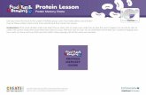 Protein Memory Game - Utah State University · Protein Lesson Protein Memory Game Did you know the foods in the protein MyPlate group come from both plants and animals? Four of these