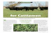 Cover Cropping for Cattlemen - Angus Journal · — Jared Cook Cover Cropping for Cattlemen CONTINUED FROM PAGE 79 CONTINUED ON PAGE 82 @According to Gabe Brown, farmer and rancher