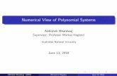 Numerical View of Polynomial Systems · 3Choose two polynomials in G and let S ij = (a ij=g i)f i (a ij=g j)f j. 4Reduce (completely) S ij, with the multivariate division algorithm