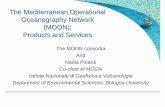 The Mediterranean Operational Oceanography …...What is operational oceanography? • It is a branch of applied research that bridges science and engineering in order to solve a practical