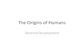 The Origins of Humans · 2017-08-30 · Neolithic (New Stone Age) (10,000-4000 BCE) I. Agricultural Revolution A. Invention of agriculture and domestication of animals 1. Slash and