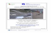 Crash test veicolo leggero Crash test light vehicle Test data... · 2006-06-19 · mobile di 0.05 s 1a TERNA ... 6.3.12 Diagramma dell’HIC (Head Injury Criterion)–HIC (Head Injury