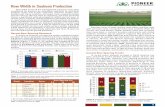 Row Width in Soybean Production · narrow rows vs. 30-inch rows in soybeans, and have generally shown a significant yield advantage for drilled narrow rows. In recent years, however,