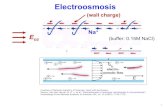 MEMs, microfluidics + electrokinetics, cells and hydrogels; (with … · Electroosmosis. E. oz (wall charge) (buffer: 0.15M NaCl) Na + 1. Courtesy of National Academy of Sciences.