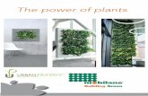 Mobilane ofﬁces worldwide - Urban Planters2015 LivePicture ® – Living picture made up of plants (LivePicture 3, 4 & XL) mobilane.co.uk • Hungary South Africa • Hong Kong •