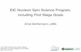 EIC Nucleon Spin Science Program, including First Stage Goals · in progress: include also π±; polarized SIDIS and impact on global fit next step: assess impact of data on PDFs