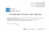 Treball Final de Graudiposit.ub.edu/dspace/bitstream/2445/137944/1/TFG_QU... · 2019-07-24 · Aquest Treball de Final de Grau està dividit en tres seccions. A la primera secció