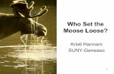 Who Set the Moose Loose? - APES - Homewheelesapes.weebly.com/uploads/6/5/2/7/65275913/loose_moose__… · CQ#12: Shortly after Paul’s first year of research, the first wolves were