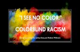 I SEE NO COLOR. COLORBLIND RACISM...Colorblind racial ideology developed in league with neoliberalism from the Reagan years forward…What was significant was the reframing of racism