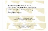 Pathophysiology of fetal intrauterine central shunts in high-risk … · 2012-11-15 · Pathophysiology of fetal intrauterine central shunts in high-risk pregnancies: a prospective