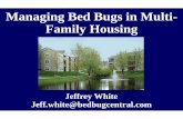 Managing Bed Bugs in Multi- Family Housing€¦ · Bed Bugs Are Back! “The New York metro area has the worst infestation in the United States, with over 4000 bed bug reports.”