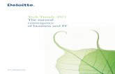 Tech Trends 2011 The natural convergence of business and IT€¦ · Visualization suites complement business intelligence and analytics platforms, offering rich graphics, 3-D perspectives,