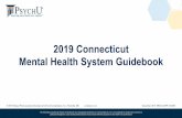 2019 Connecticut Mental Health System Guidebook€¦ · Behavioral Health Safety-Net Delivery System: Overview B. Health Financing System Overview B.1. Population Demographics ...