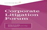 Corporate Litigation Forum€¦ · Antitrust Investigations & Litigation: Five “Big” Issues From Inception To Defense › Agreements on price and information sharing between competitors