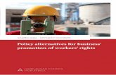 Policy alternatives for business’ promotion of workers’ rights · page 6 Shared Goal - Diﬀerent Pathways: Policy alternatives for business’ promotion of workers’ rights