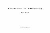 Fractures in Knapping - Archaeopressarchaeopress.com/ArchaeopressShop/DMS... · iv A Catalogue of LIFMs and Patterns 114