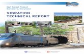 VIBRATION TECHNICAL REPORT - B&P This technical report presents a detailed analysis of the vibration