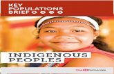 INDIGENOUS PEOPLES - Stop TB Partnership€¦ · nent’s indigenous peoples (5). About 8% of the population of Latin America and the Caribbean is indigenous. Available information