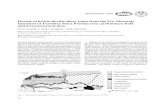 Ductile to brittle-ductile shear zones from the Pre-Mesozoic …js/pics/georgiev_etal_06.pdf · 2006-11-09 · ro`sh`kkx qdk`sdc sn D`qkx @kohmd mnqsg udqfhmf aqhs, skd,ctbshkd rgd`q