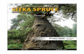 Common Insect Pests and Diseases of Sitka Spruce on the ... · Most insects and biotic diseases affect a particular host tree species or group of tree species. ... plants along the