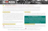 SPRAYING GORSE: KNOW THE LAW AND KNOW YOUR HERBICIDES! · on tough, woody plants like gorse. While the concentrated form works best (sold under the brand names Garlon 3A and Vastlan),