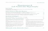 Hypertension & Left Ventricular Hypertrophy · Expert Answers to Three Key Questions Do coronary circulation abnormalities play an important role in the pathogenesis of hypertensive