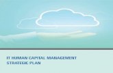 IT HUMAN CAPITAL MANAGEMENT STRATEGIC PLAN€¦ · State of Hawaii Business and IT/IRM Transformation Plan Governance | IT Human Capital Management Strategic Plan | 6. 1.2 A CLEAR