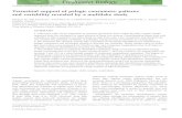 Terrestrial support of pelagic consumers: patterns and ... et al... · Keywords: food webs, lakes, pelagic, stable isotopes, zooplankton Introduction Aquatic ecosystems are intimately