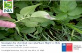Strategies for chemical control of Late Blight in Chile · Probabilidad