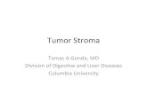 Tumor Stroma - Columbia University...-3.0 -2.0 -.5 +.5 +2.0 +3.0 STDEV from mean Diﬀeren7al Methylated Diﬀeren7al Expression Colon CAF vs Colon MF Esoph CAF vs Esoph MF Gastric