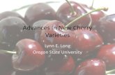 Advances in New Cherry Varieties - OSU Extension Service · 2018-07-06 · habit • Moderate rain crack resistance • Blooms S 1S 13 – Ebony Pearl, Rainier Harvest timing days
