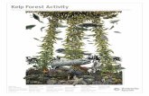 Kelp Forest Activity - Monterey Bay Aquarium Title: Kelp Forest Habitat Poster Activity | Monterey Bay